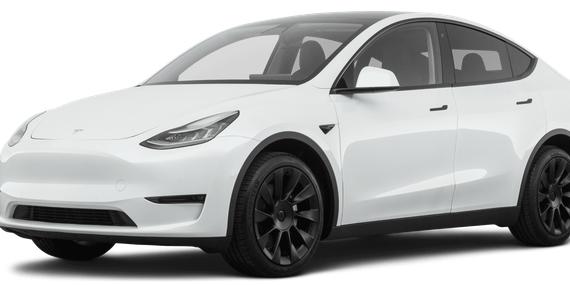 TESLA MODEL Y 2021 5YJYGDEE8MF262463 image
